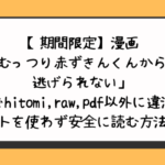 【期間限定】漫画「むっつり赤ずきんくんからは逃げられない」無料でhitomi,raw,pdf以外に違法サイトを使わず安全に読む方法